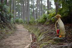 本宮町（湯峰・川湯・渡瀬）