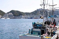 太地町・那智勝浦町・湯川