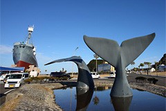 太地町・那智勝浦町・湯川